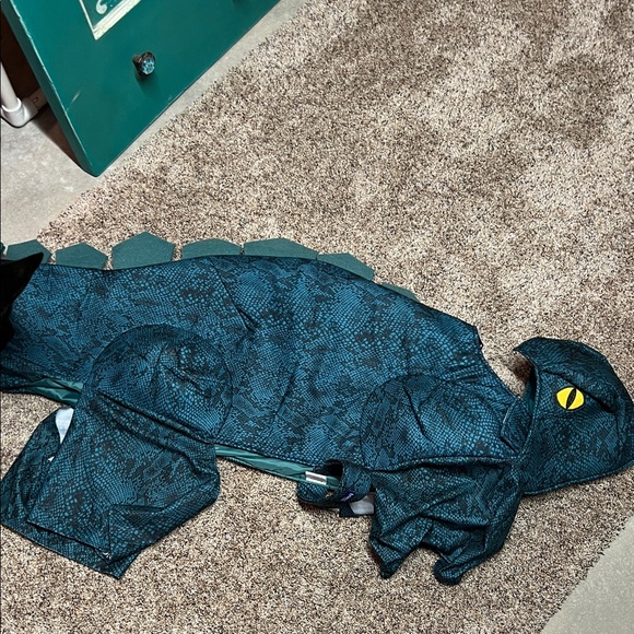 Chewy Other - Reptile Costume for Pets - Green